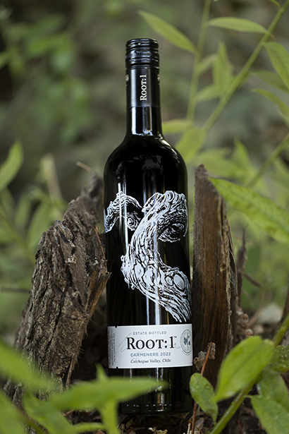 root-our_wine-seccion2-producto2_img1-410x615
